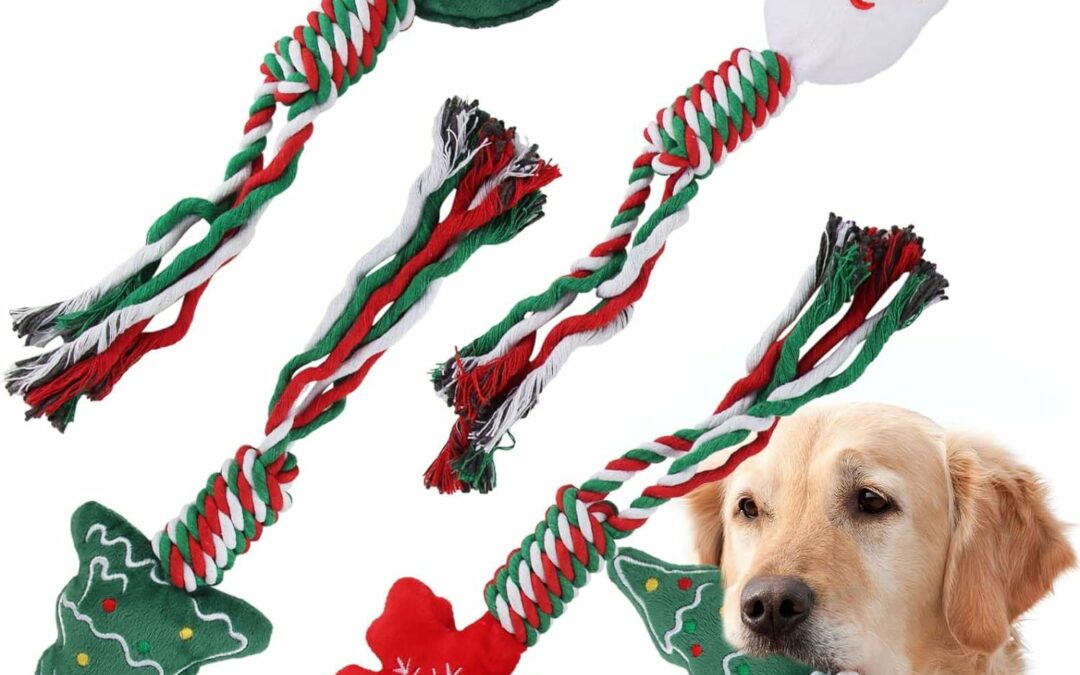 Comparatif: 5 jouets de Noël pour chien