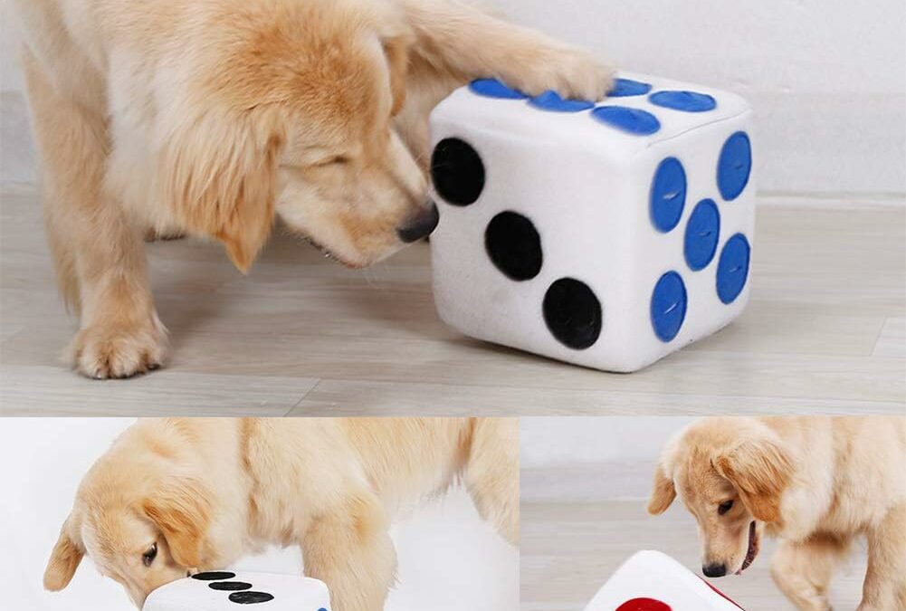Comparaison de 4 jouets interactifs pour chiens